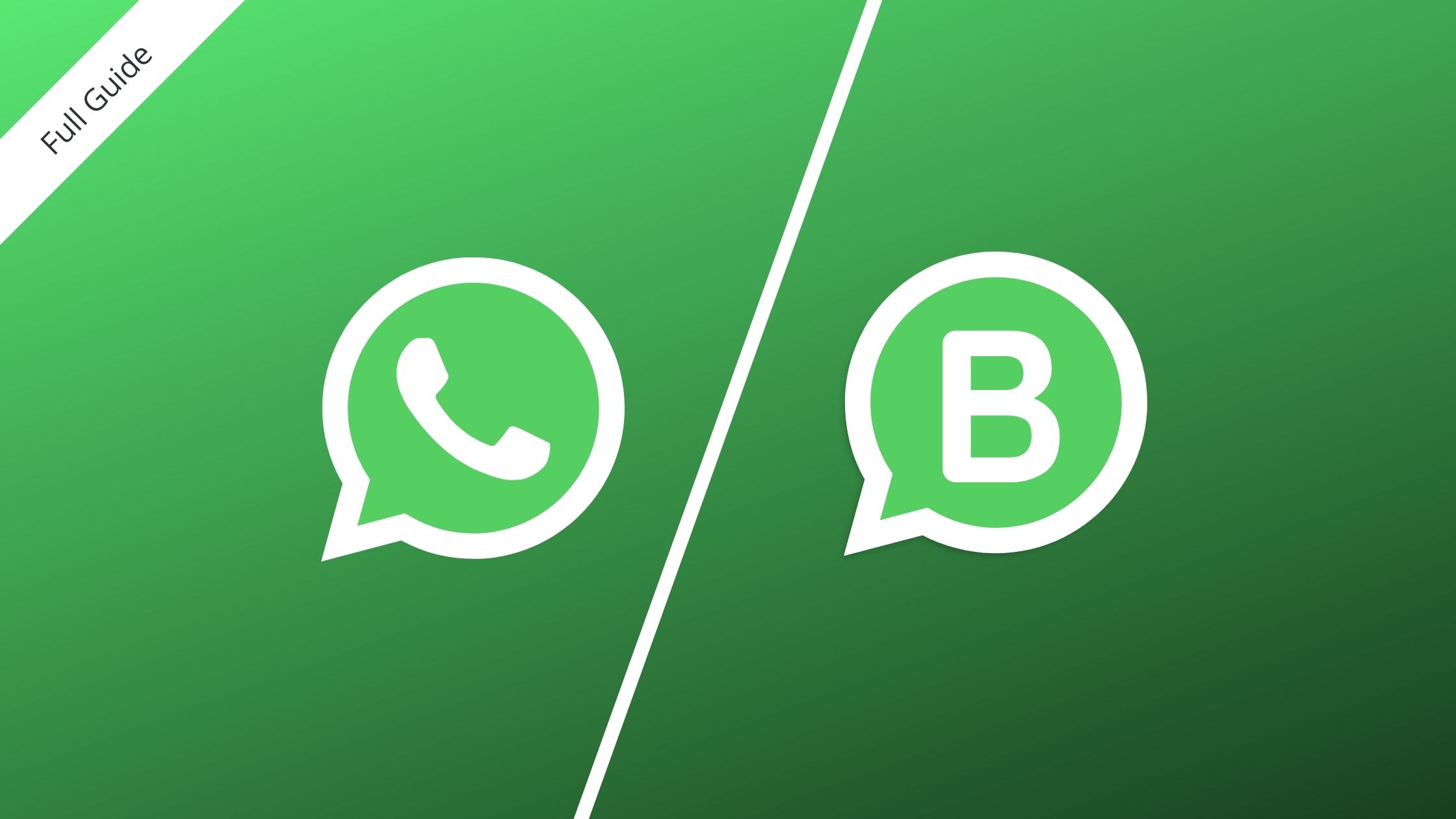 Difference Between WhatsApp and WhatsApp Business