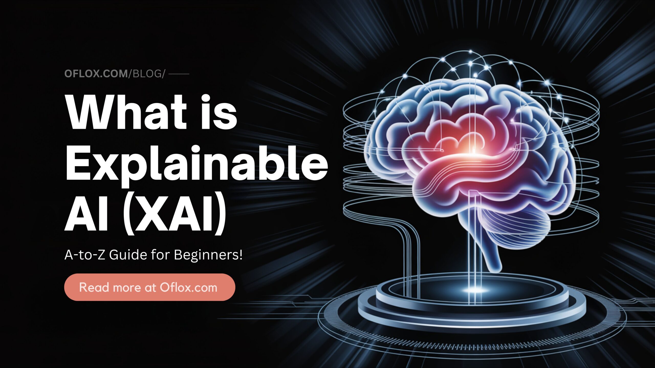 What is Explainable AI