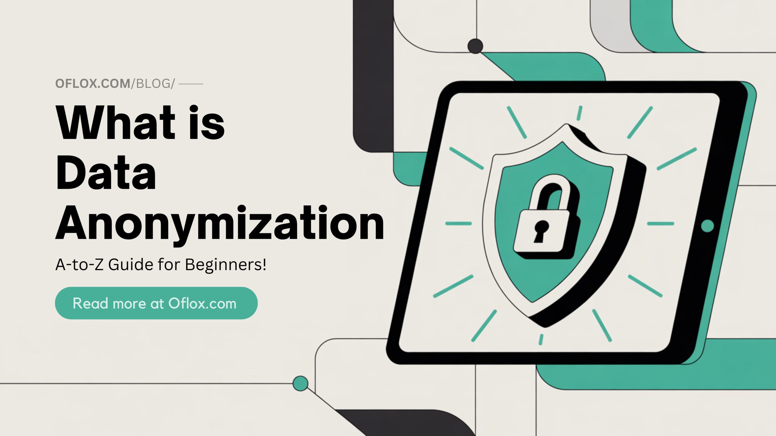 What is Data Anonymization
