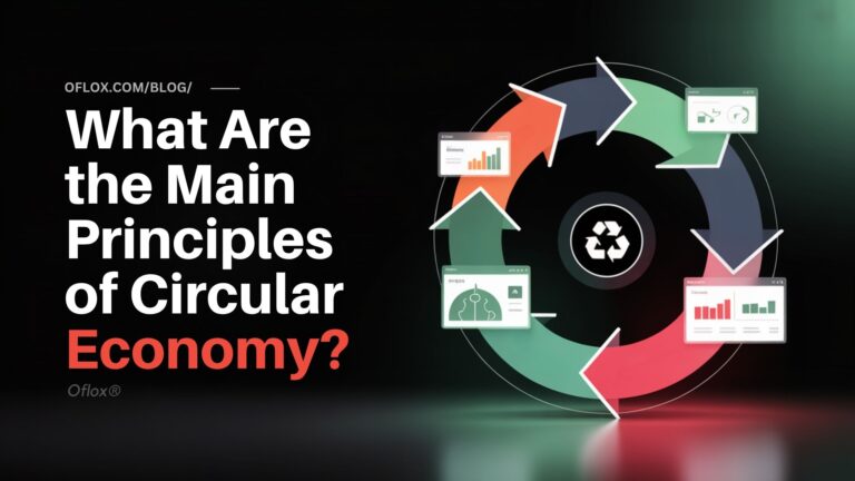 What Are the Main Principles of Circular Economy