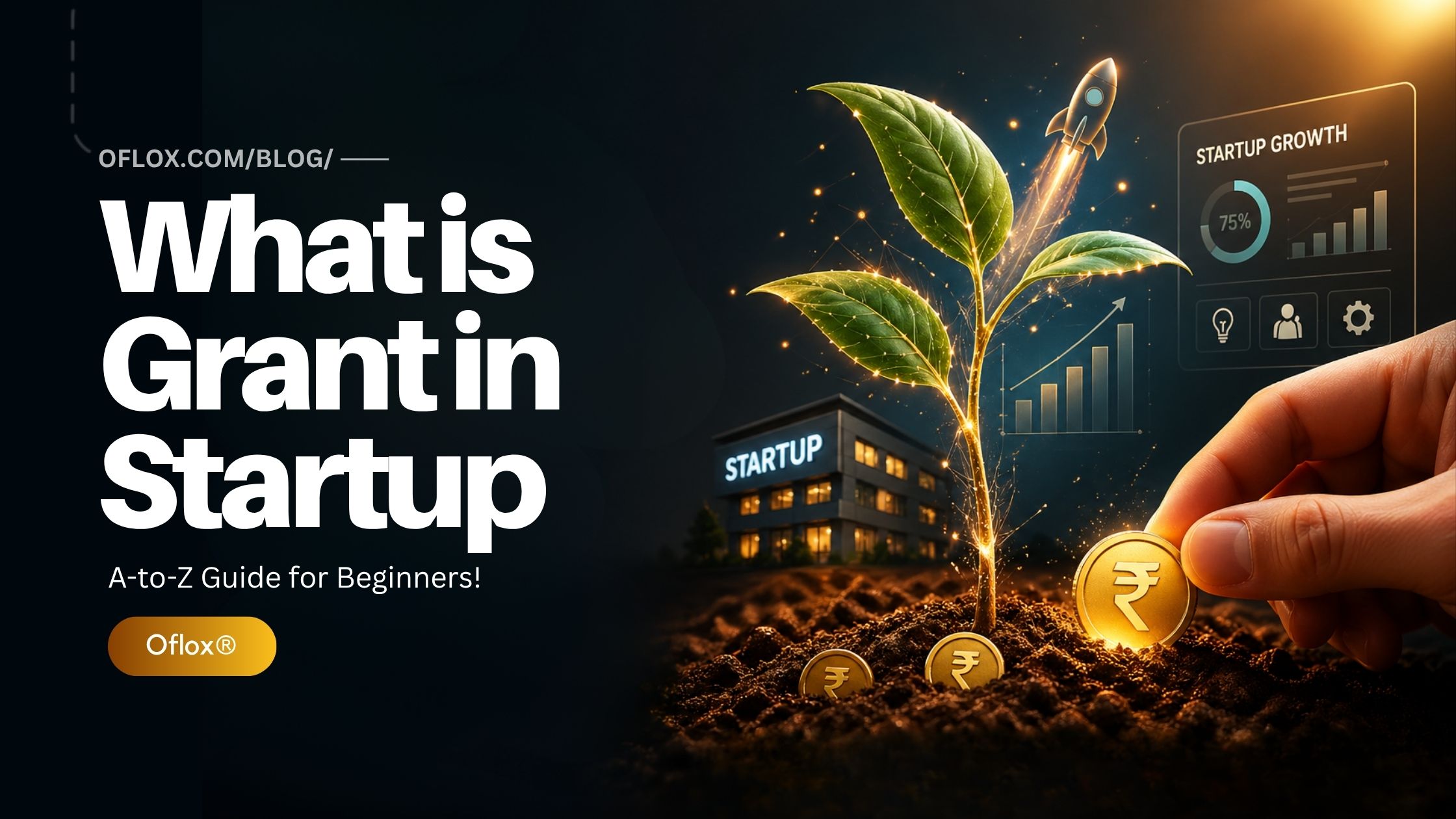 What is Grant in Startup