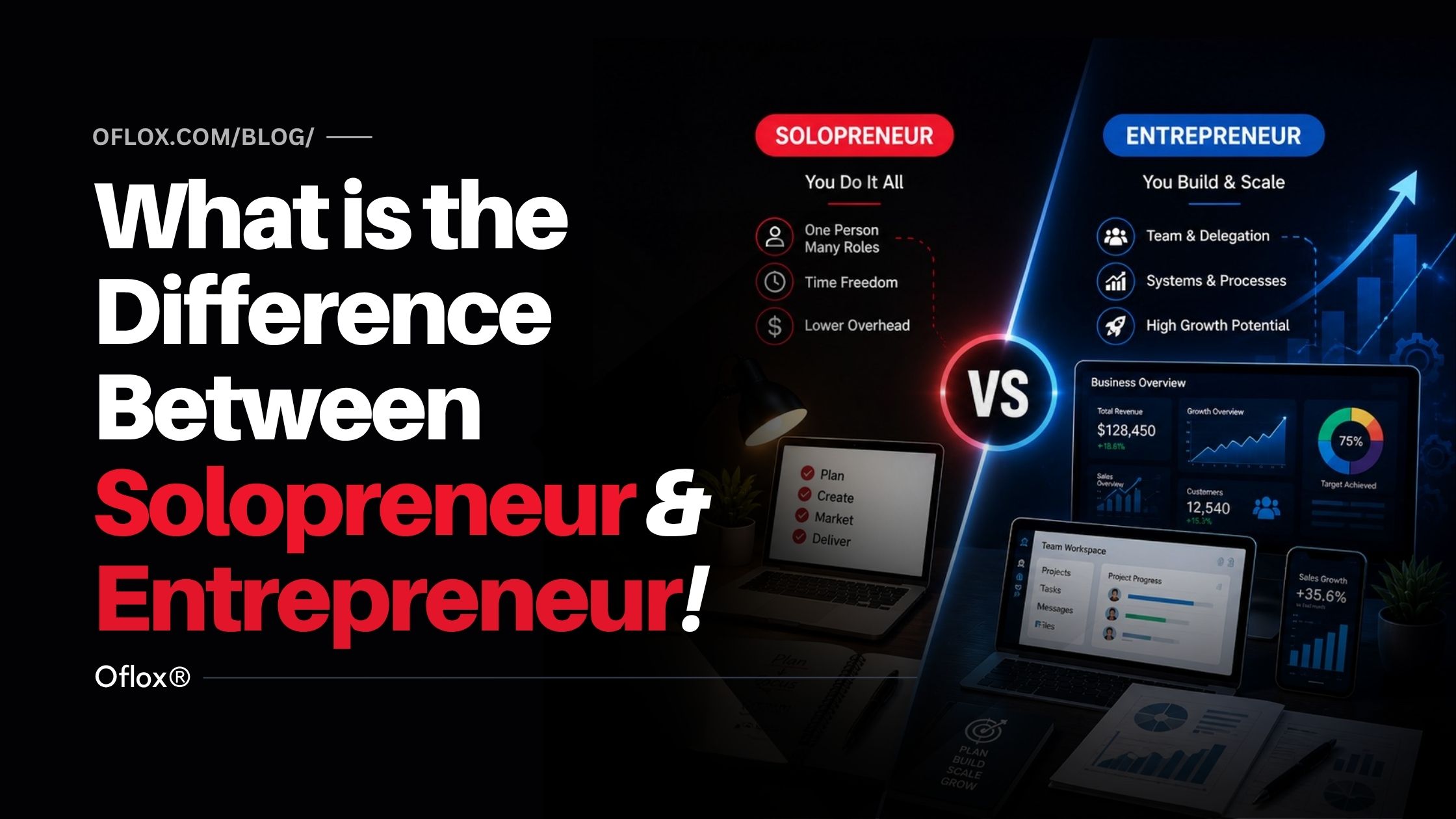 What is the Difference Between Solopreneur and Entrepreneur