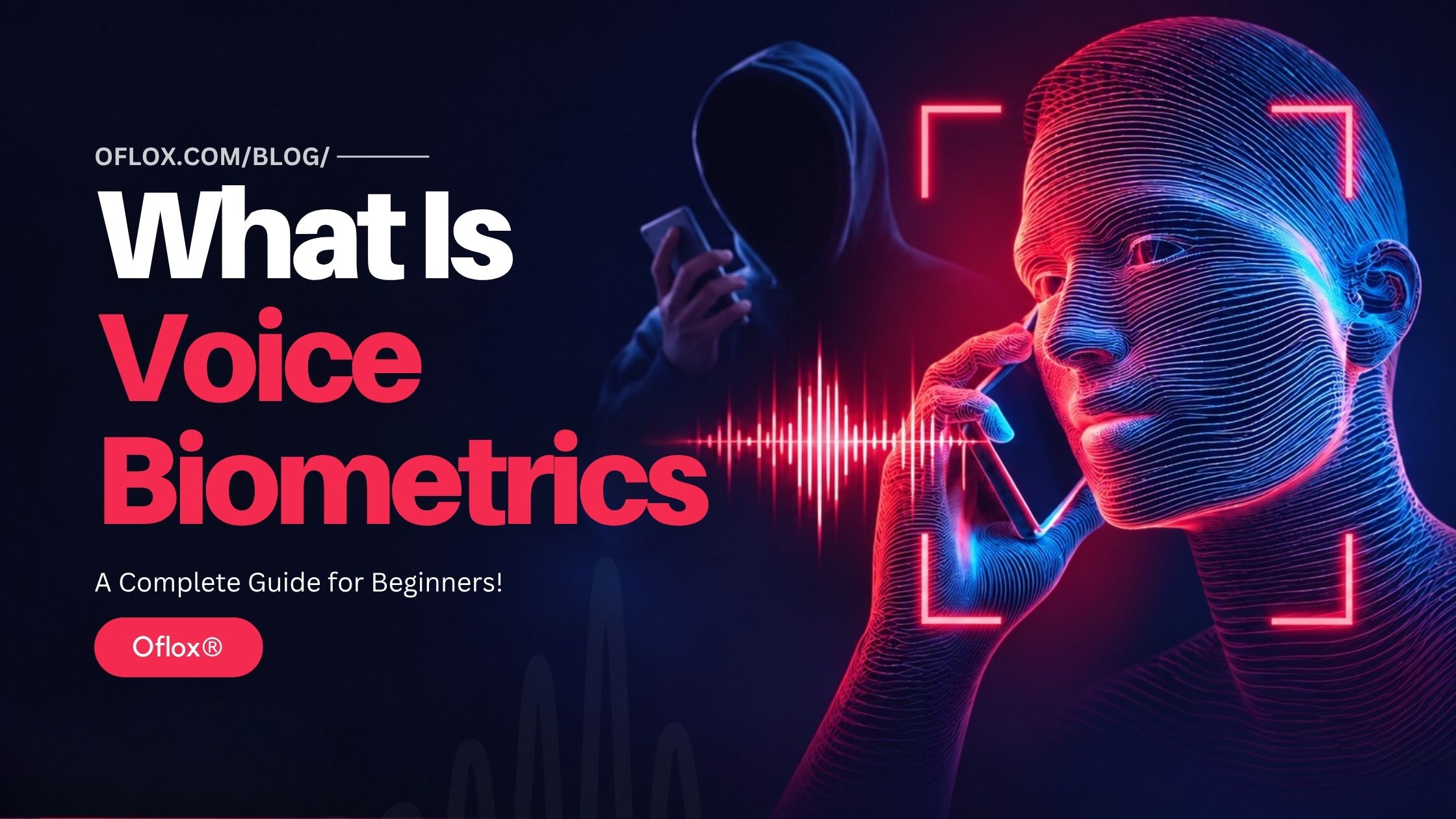 What Is Voice Biometrics