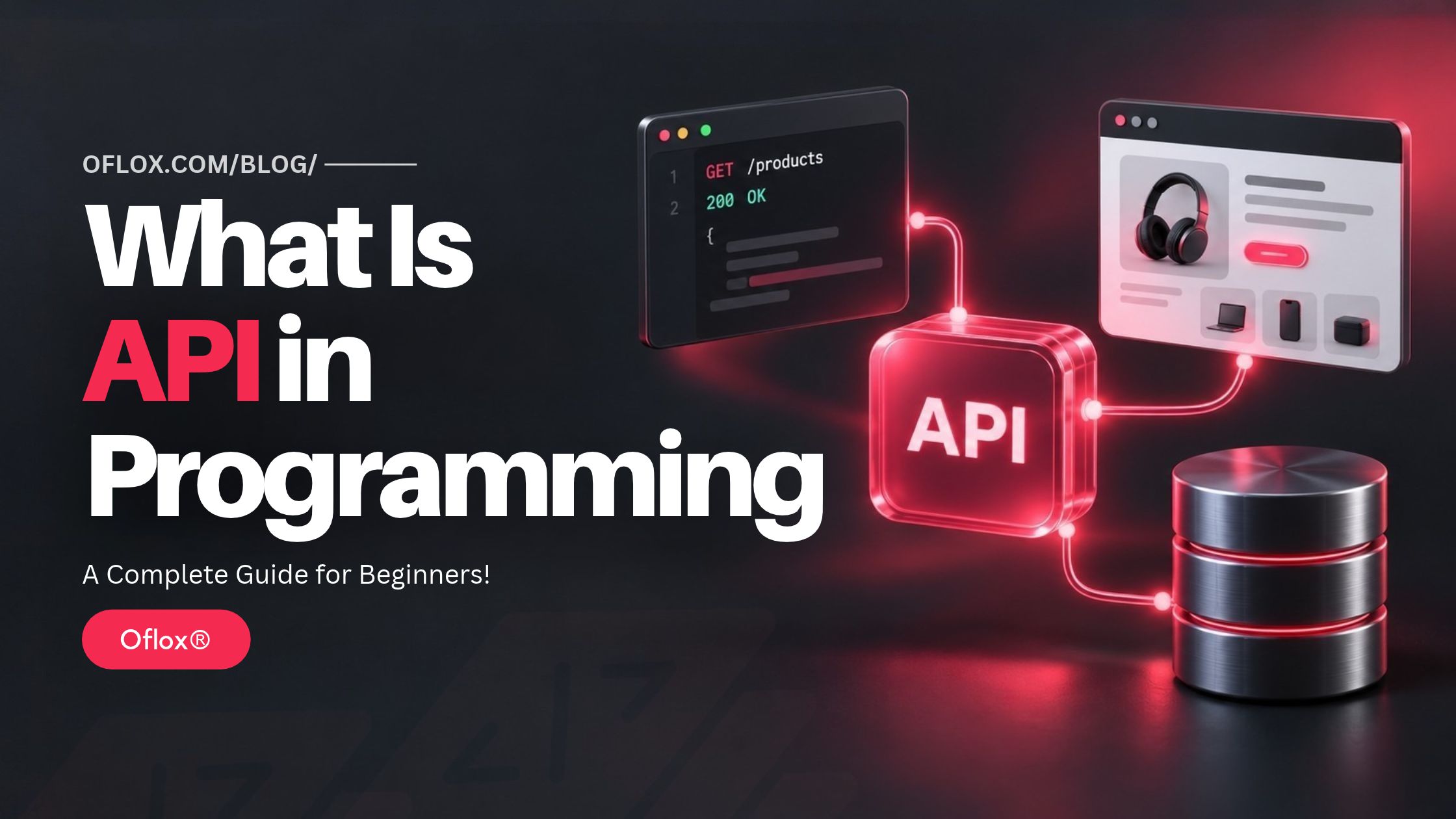 What Is API in Programming