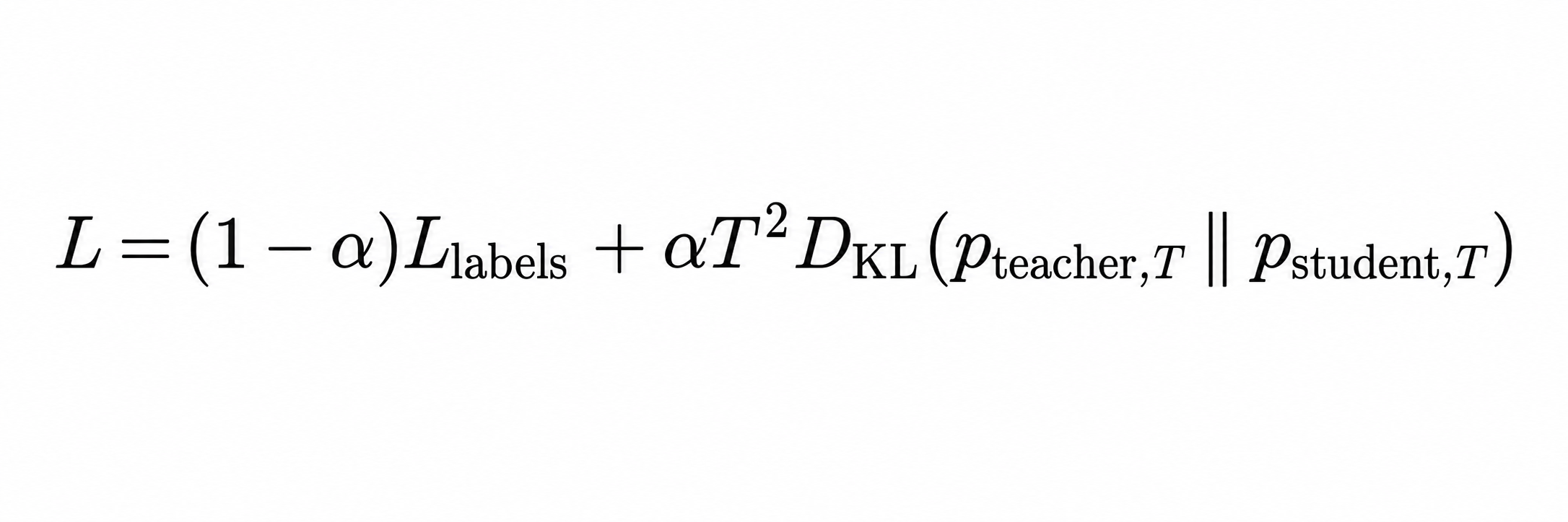 common classification objective